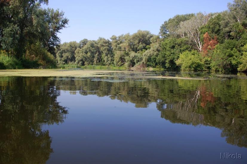 Шипилівка з panoramio.com - Shypylivka