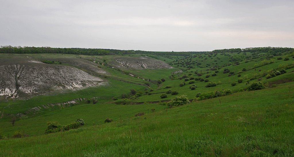 Крива Лука з panoramio.com - Крива Лука