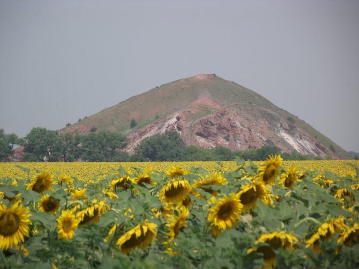 Звірове з panoramio.com - Зверево