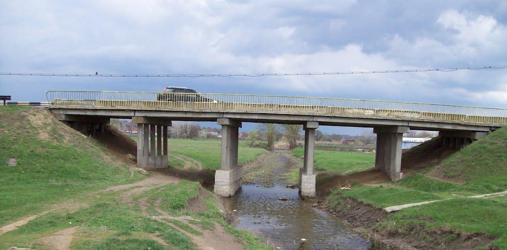 Новоукраїнка з panoramio.com - Новоукраїнка