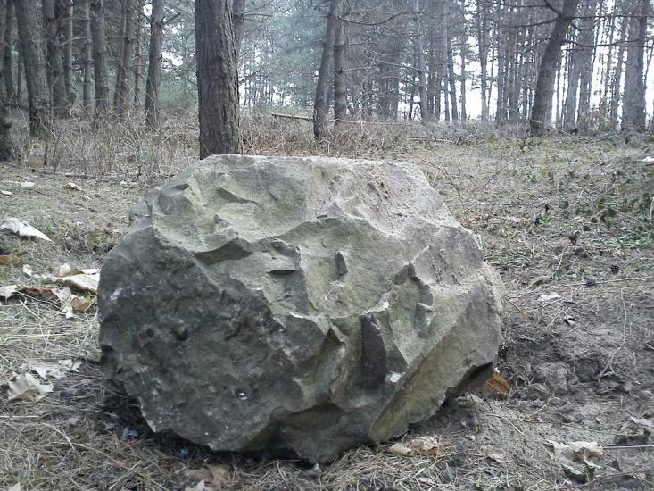 Арламівська Воля з panoramio.com - Арламівська Воля