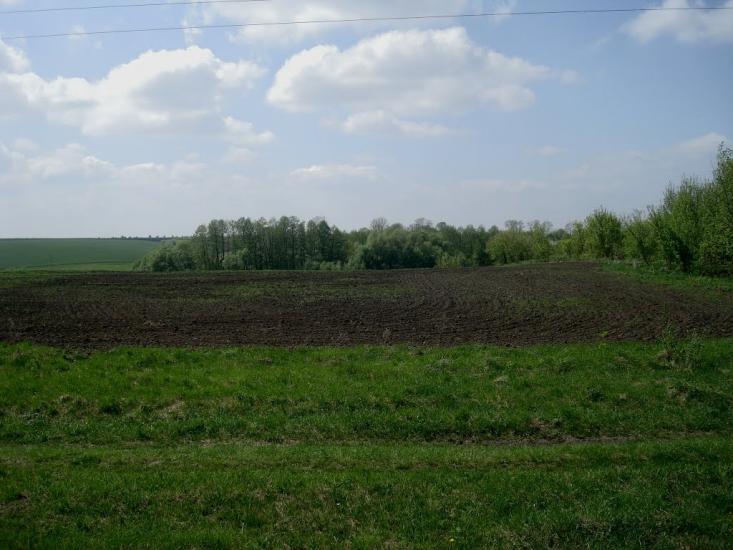 Великі Пузирки з panoramio.com - Великі Пузирки