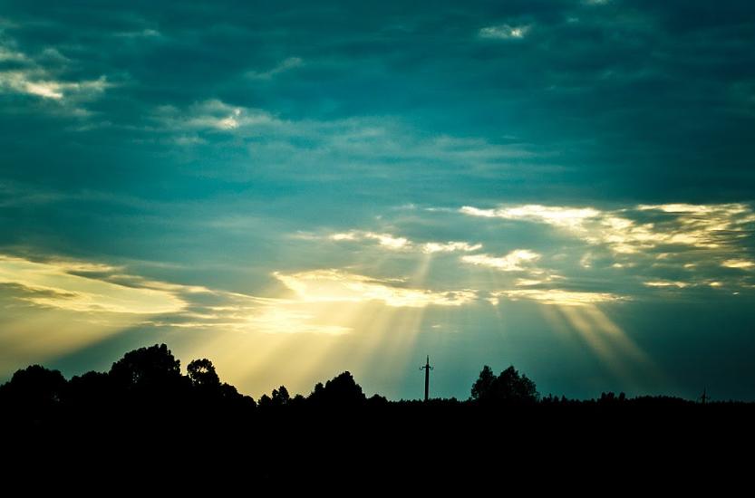 Плесецьке з panoramio.com - Plesetske