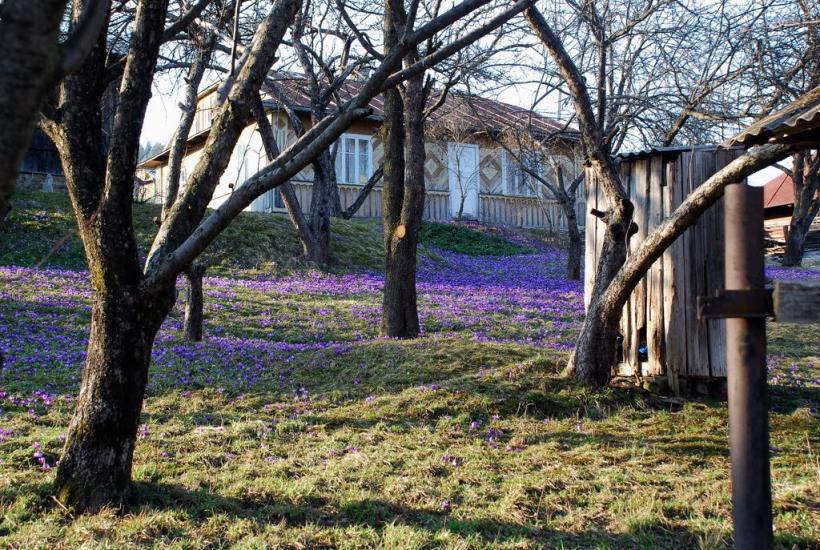 Кричка з panoramio.com - Кричка