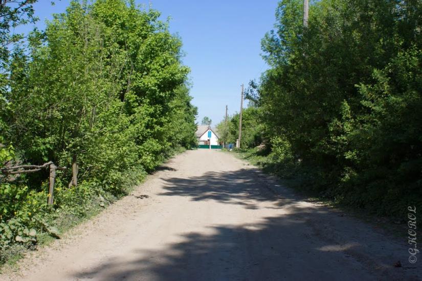 Чернявка з panoramio.com - Чернявка