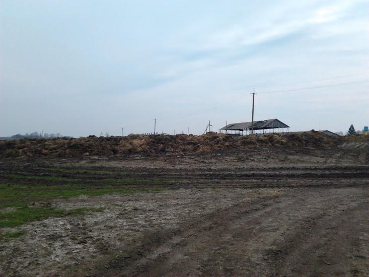Рогачі з panoramio.com - Рогачи