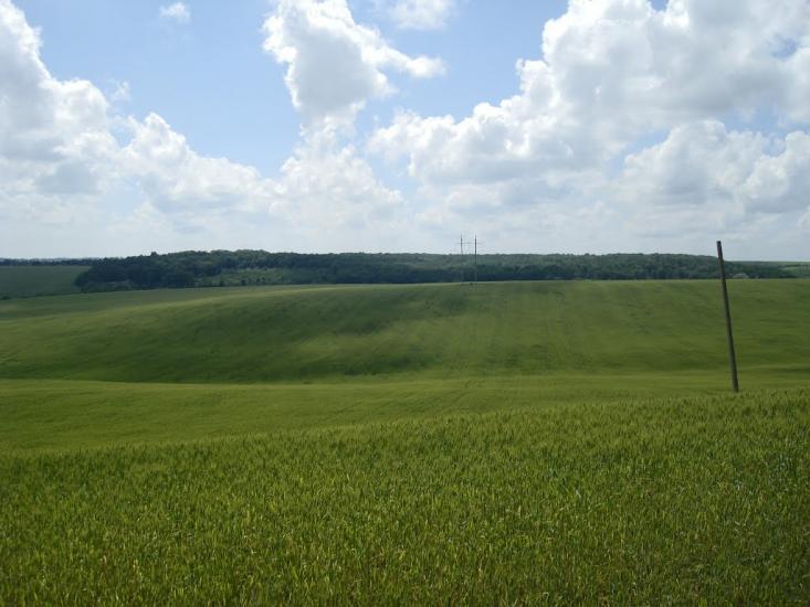 Грузевиця з panoramio.com - Грузевиця