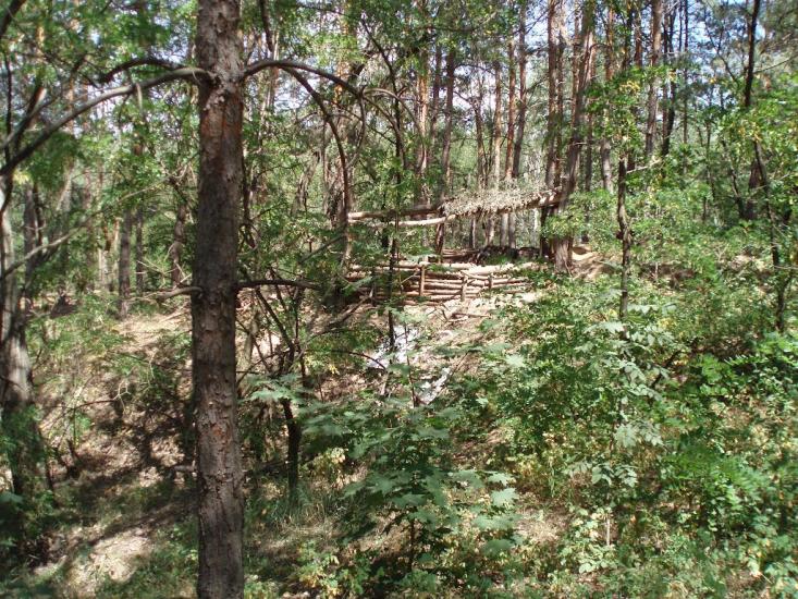 Пересічна з panoramio.com - Пересечная