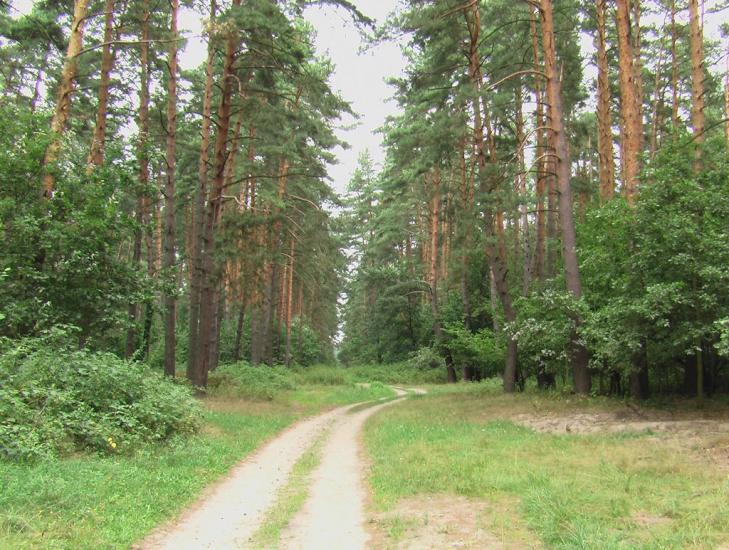 Озерне з panoramio.com - Озерное