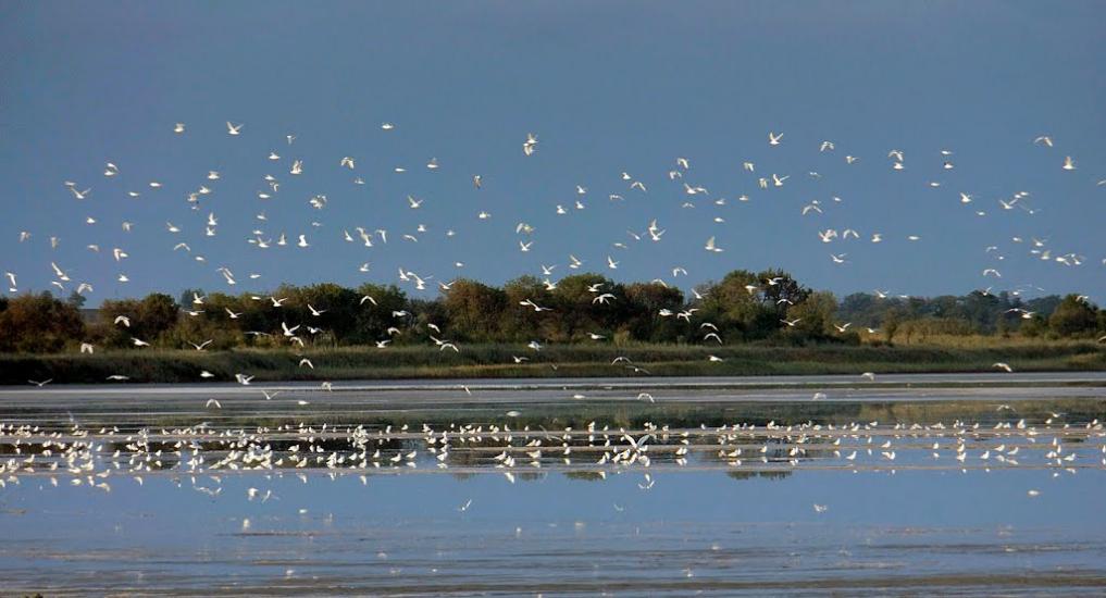 Подспор'є з panoramio.com - Подспор'є