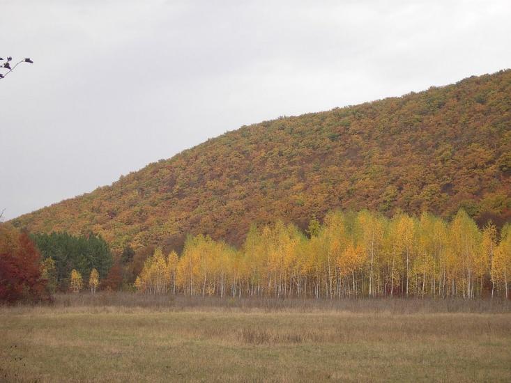 Овражки з panoramio.com - Овражки