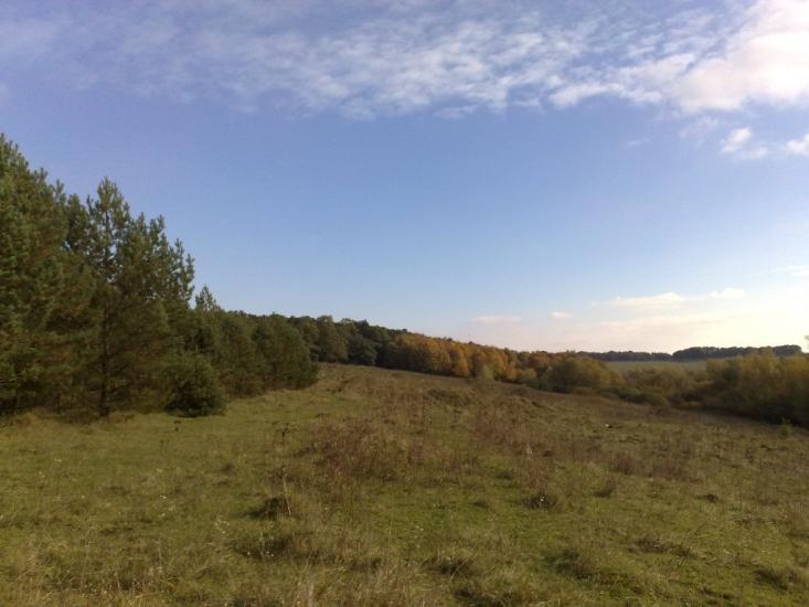 Михайлівка з panoramio.com - Михайловка