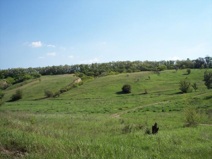 Сурсько-Литовське з panoramio.com - Сурско-Литовское