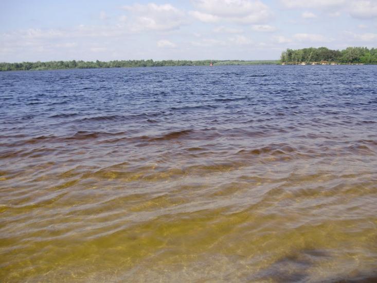 Пекарі з panoramio.com - Пекари