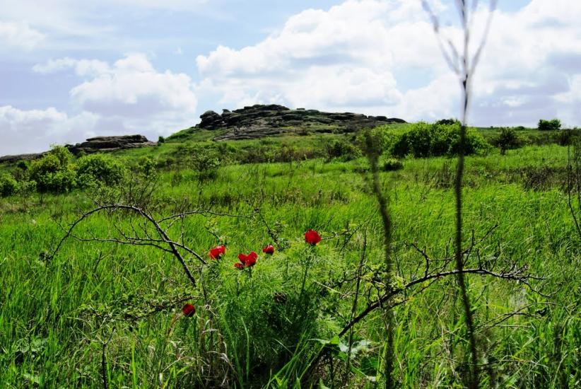 Українка з panoramio.com - Украинка