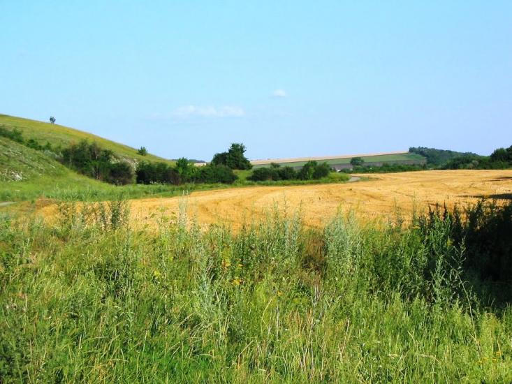 Першомар'ївка з panoramio.com - Першомарьевка