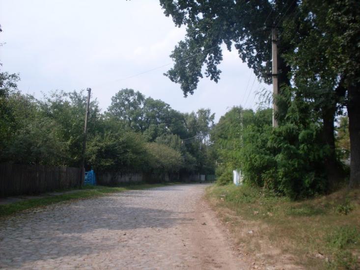Шура-Мітлинецька з panoramio.com - Шура-Мітлинецька