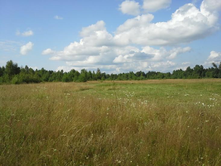 Вирка з panoramio.com - Vyrka