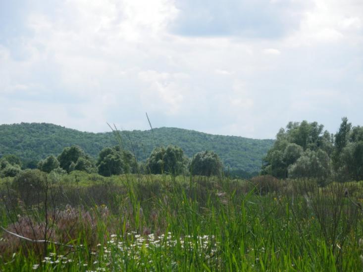 Ярова з panoramio.com - Ярова