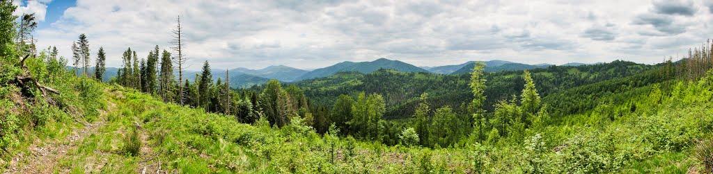 Тухля з panoramio.com - Tukhlya