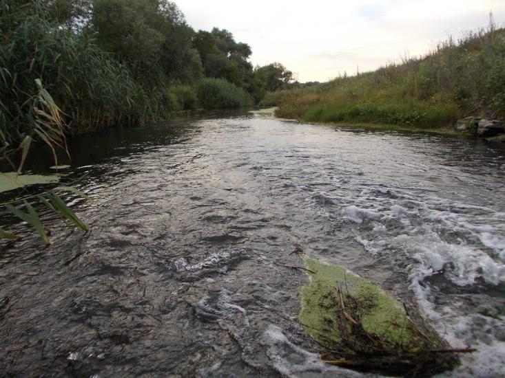 Березівське з panoramio.com - Березівське