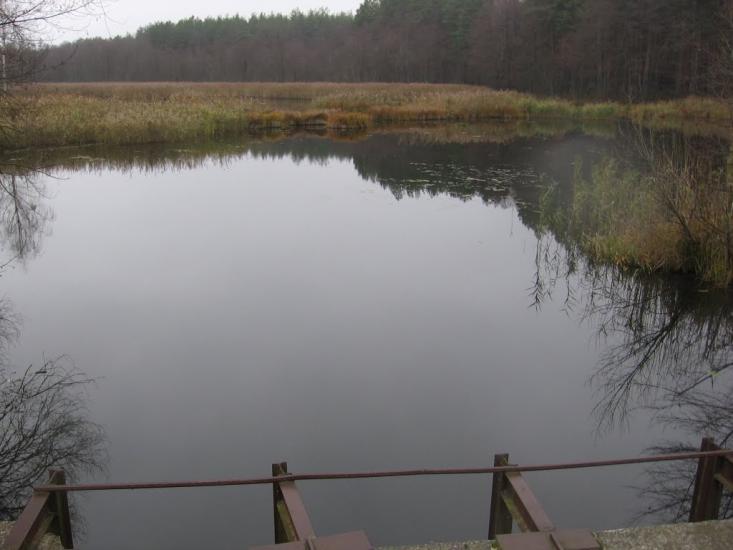 Мигалки з panoramio.com - Мигалки