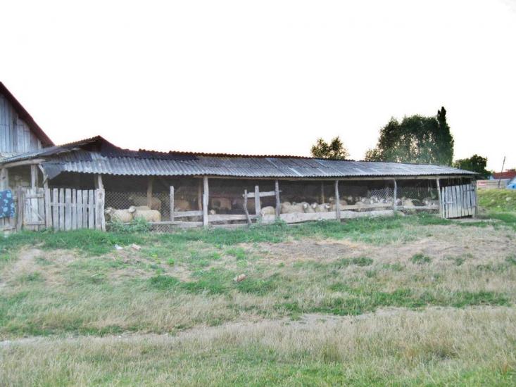 Михальча з panoramio.com - Mykhalcha