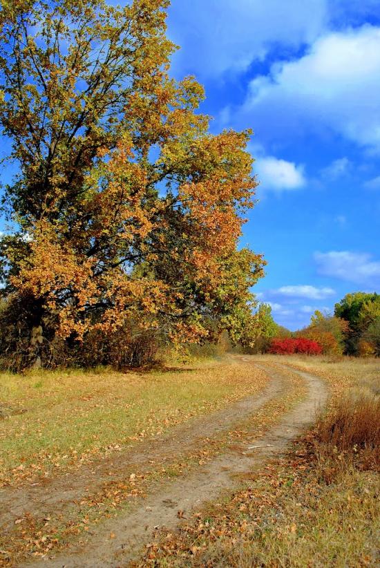 Дениші з panoramio.com - Дениши