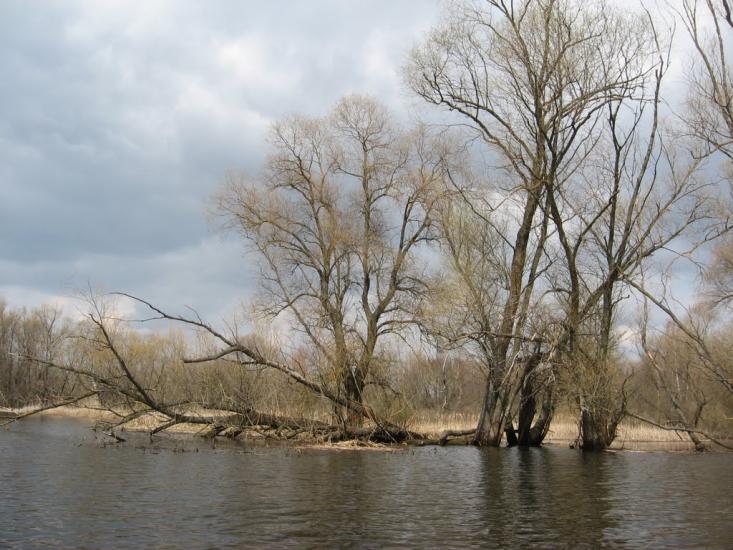 Бубнівська Слобідка з panoramio.com - Bubnivska Slobidka