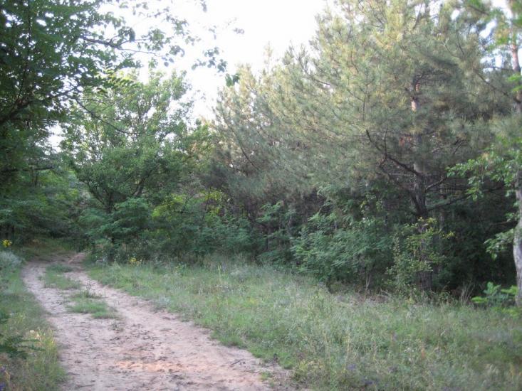 Інгулка з panoramio.com - Ингулка