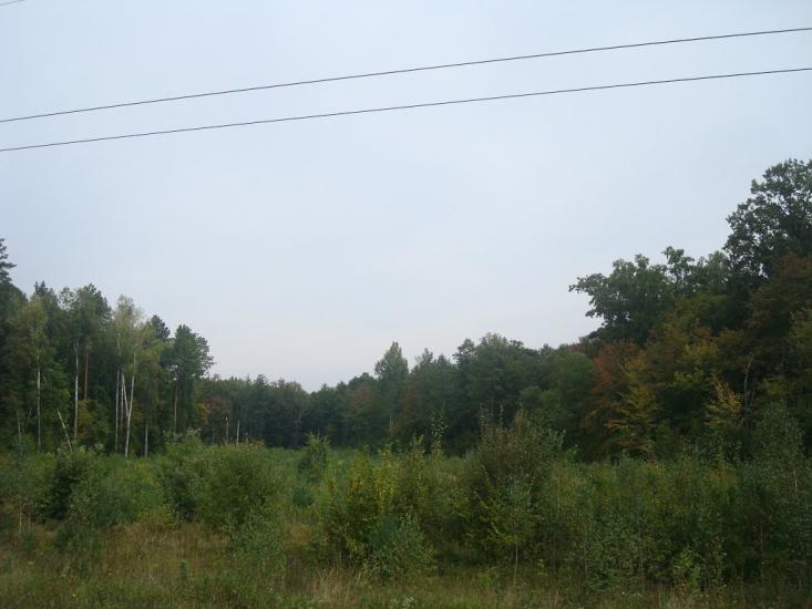 Цвітоха з panoramio.com - Цвітоха