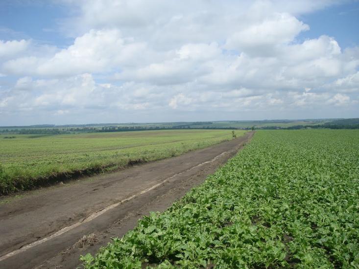 Грузевиця з panoramio.com - Грузевиця