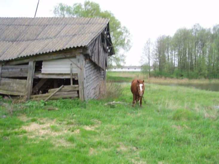 Віленька з panoramio.com - Vilenka