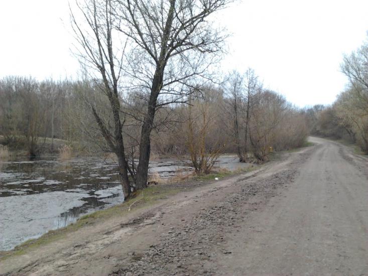 Рогачі з panoramio.com - Рогачи