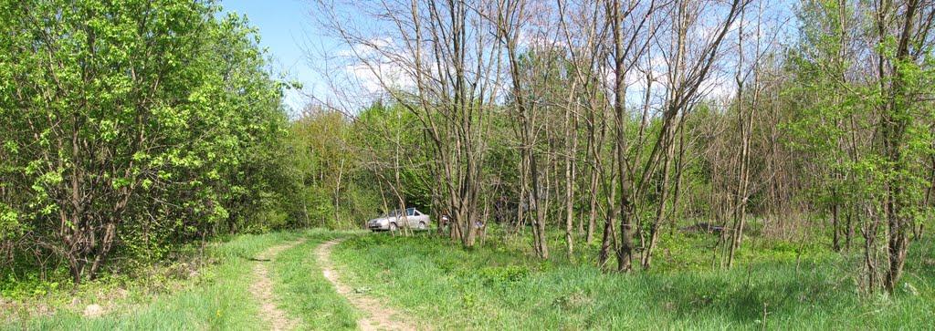 Бахматівці з panoramio.com - Bakhmativtsi