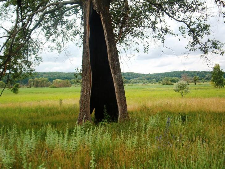 Вовків з panoramio.com - Вовків