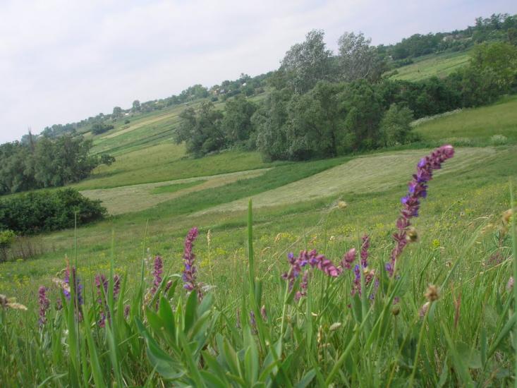 Нова Прага з panoramio.com - Новая Прага