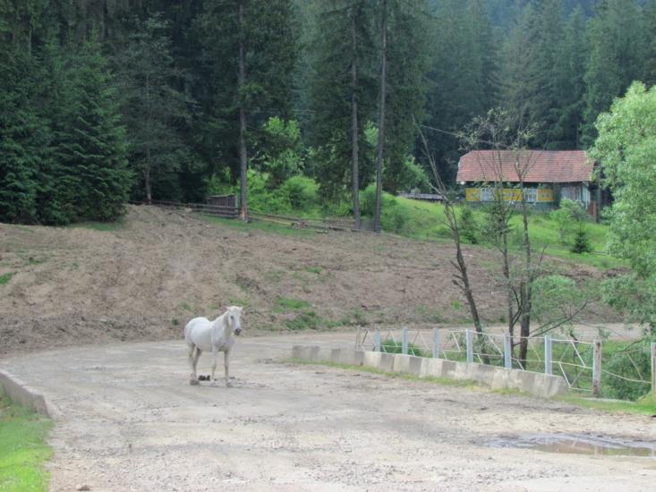 Нижня Рожанка з panoramio.com - Нижняя Рожанка