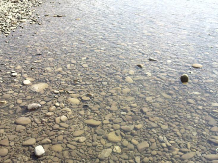 Ганнівці з panoramio.com - Ганнівці