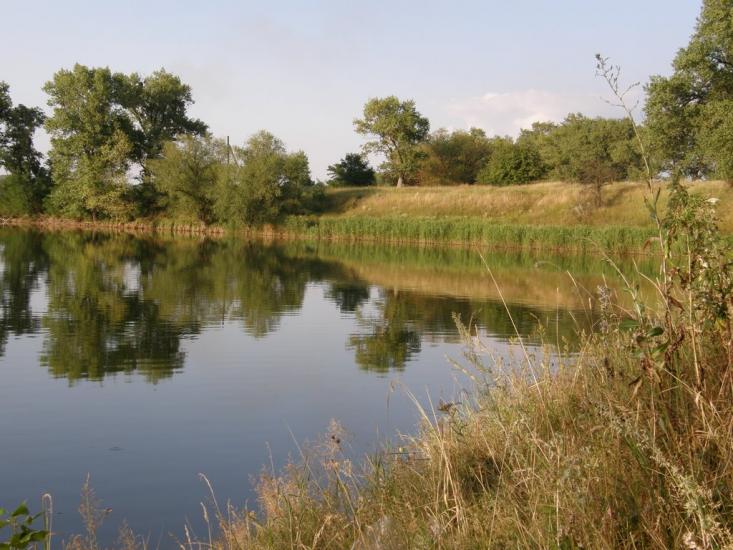 Пересічна з panoramio.com - Пересічна