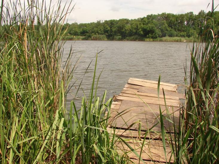 Новий Донбас з panoramio.com - Новый Донбасс