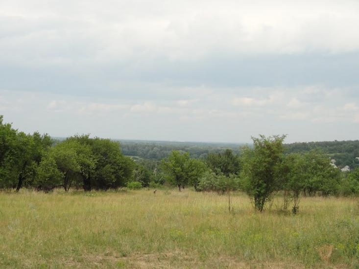 Карнаухівка з panoramio.com - Карнаухівка