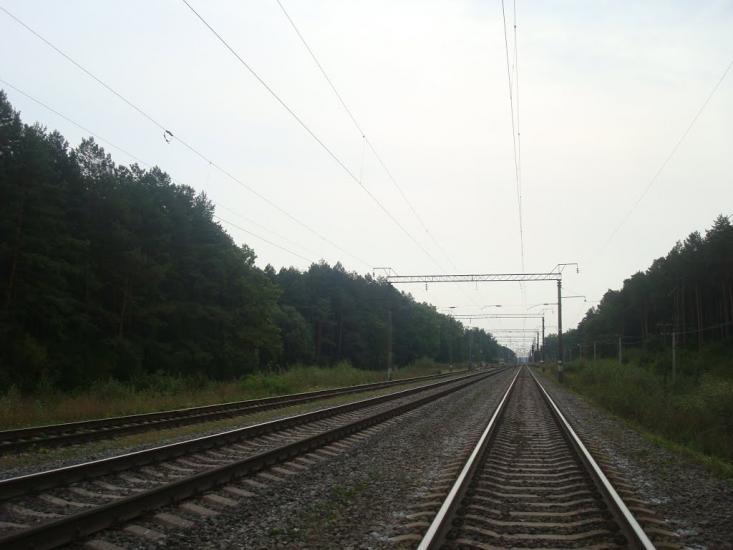 Цвітоха з panoramio.com - Цветоха