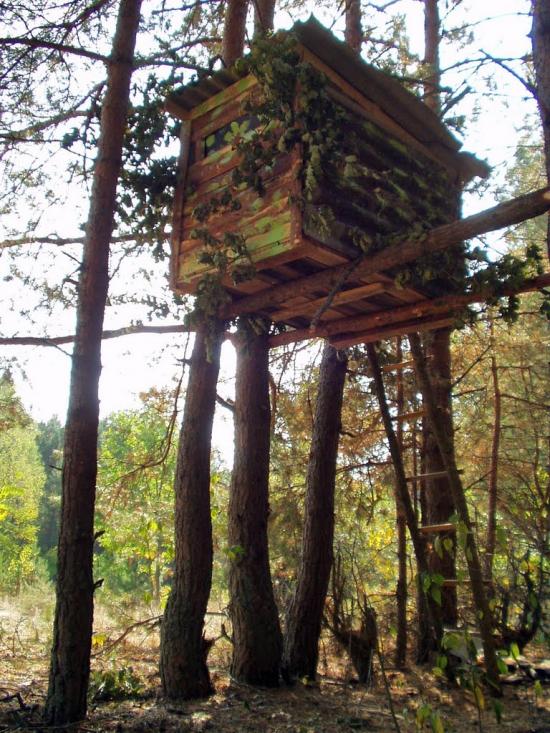 Вільхова з panoramio.com - Вільхова