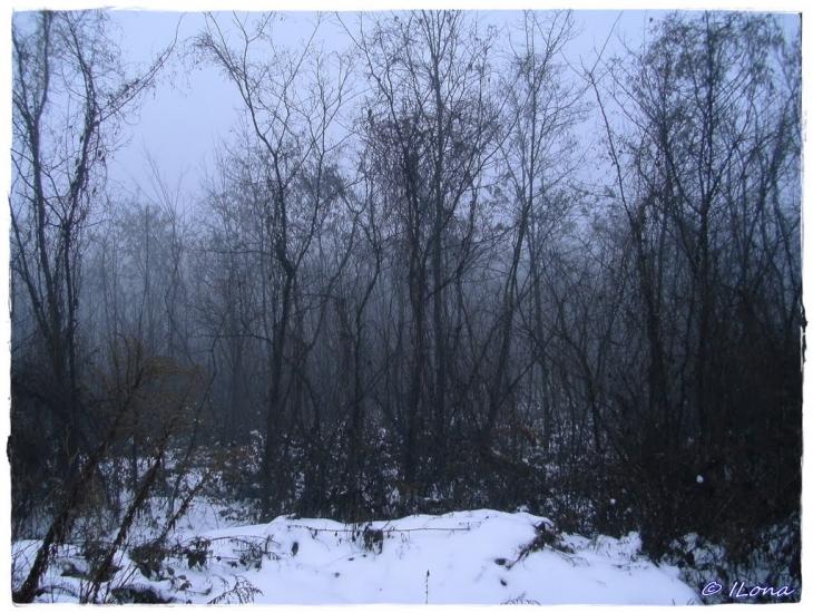 Дерцен з panoramio.com - Дерцен