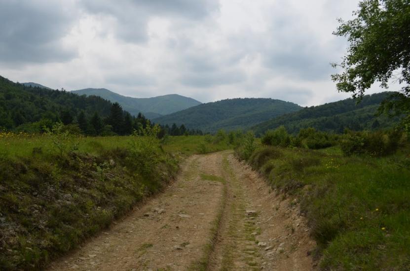 Крушельниця з panoramio.com - Крушельница