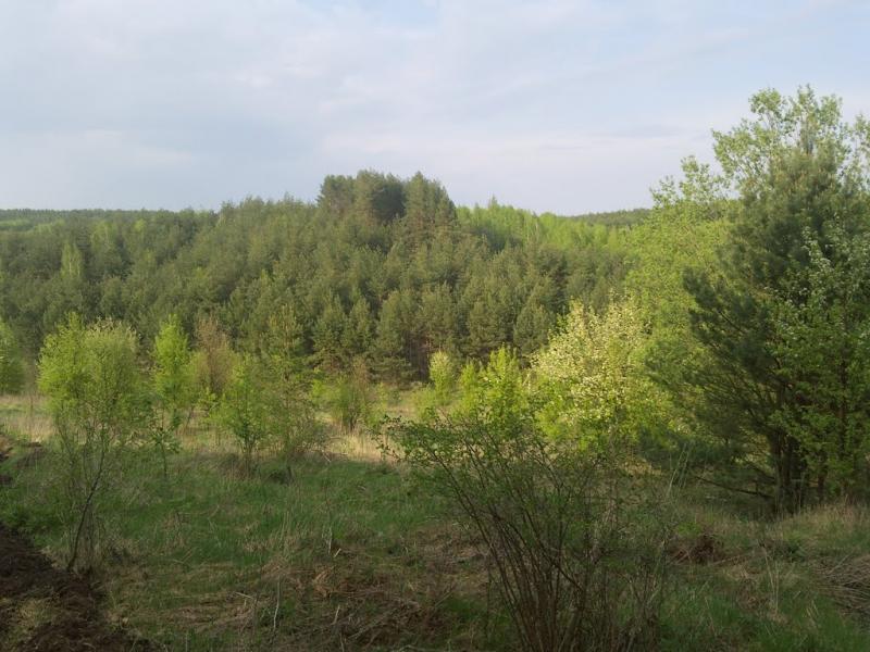 Нова Січ з panoramio.com - Новая Сечь