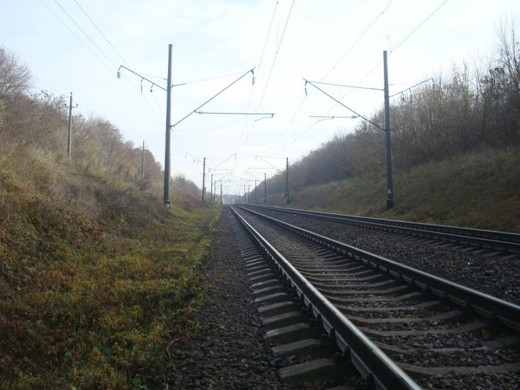 Рідкодуби з panoramio.com - Редкодубы