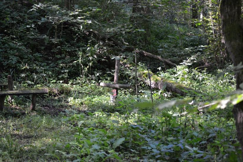 Грабовське з panoramio.com - Грабовское