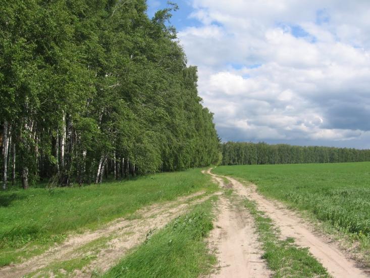 Товстоліс з panoramio.com - Толстолес